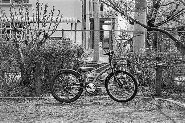Bike in Street Bike in Street