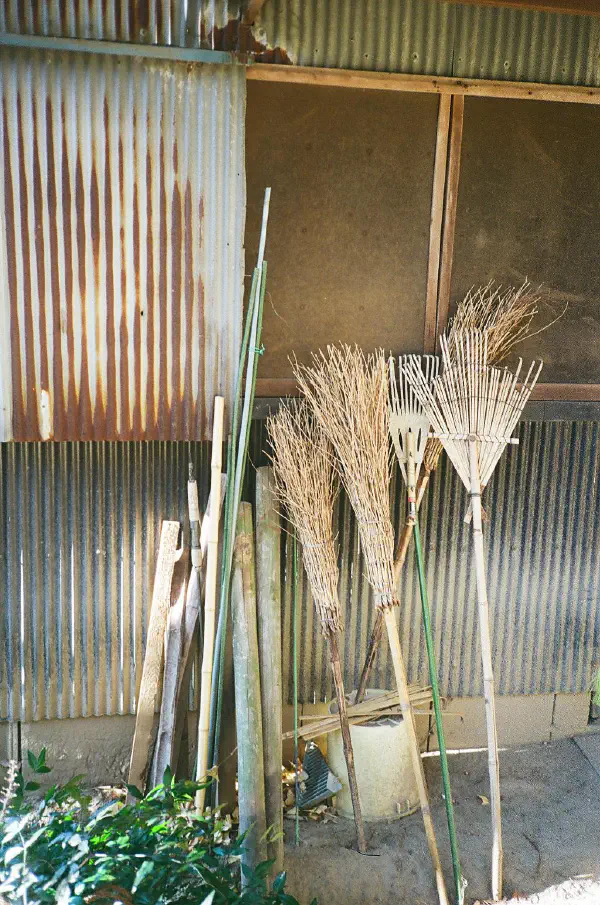 Broom in temple Broom in temple