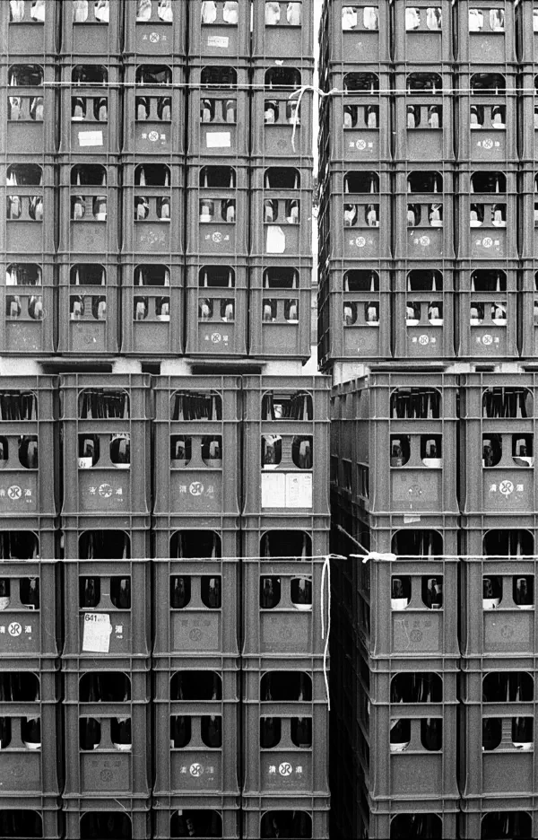 Crates Crates