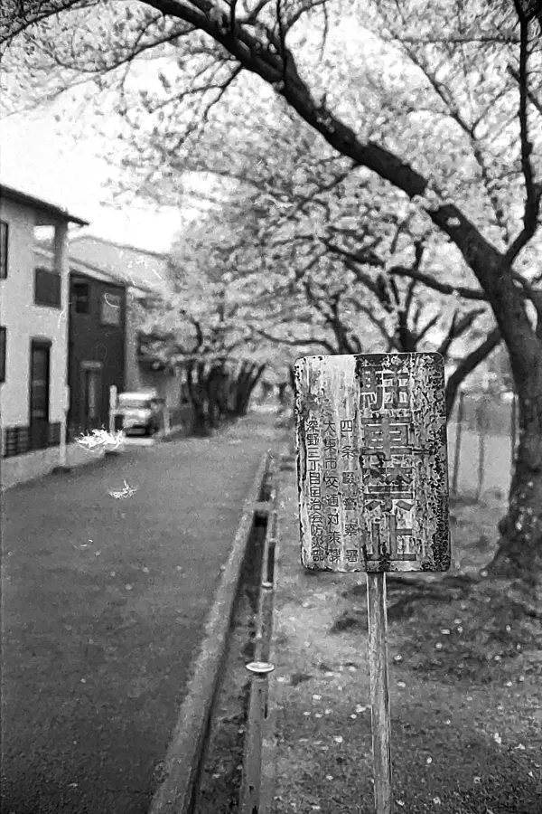 Don't park Here Don't park Here