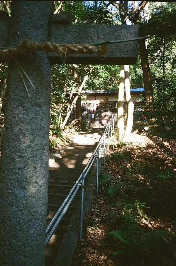 Hiden Temple in forest Hiden Temple in forest