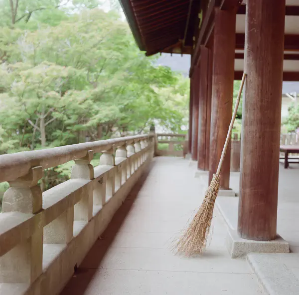 in Shrine but in color this time in Shrine but in color this time