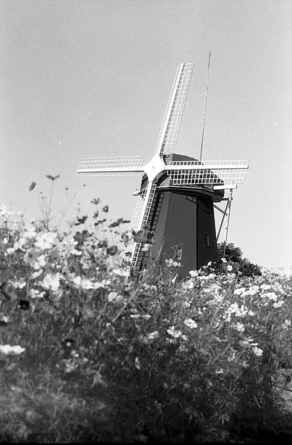 Last summer days Last summer days