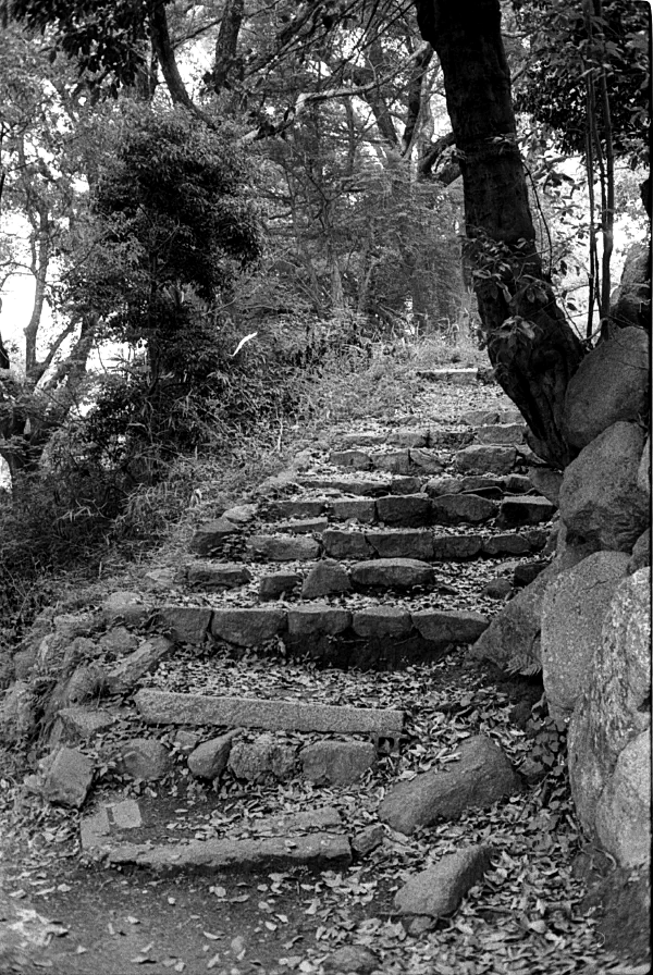 Road To Nowhere Road To Nowhere