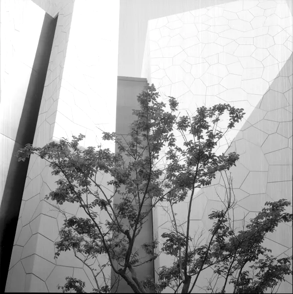 Saudi Arabia Pavillon Osaka Expo 2025 Saudi Arabia Pavillon Osaka Expo 2025