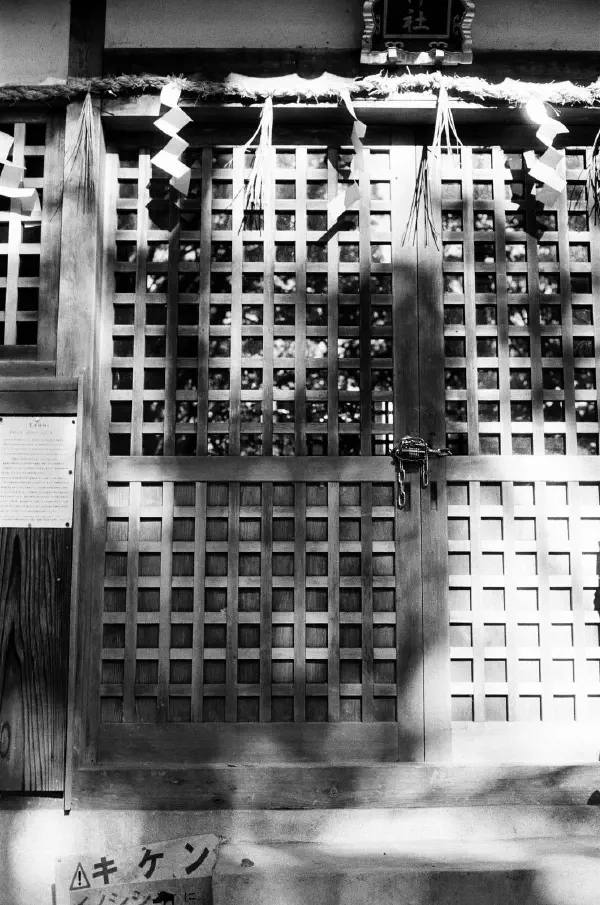 Temple in forest Temple in forest